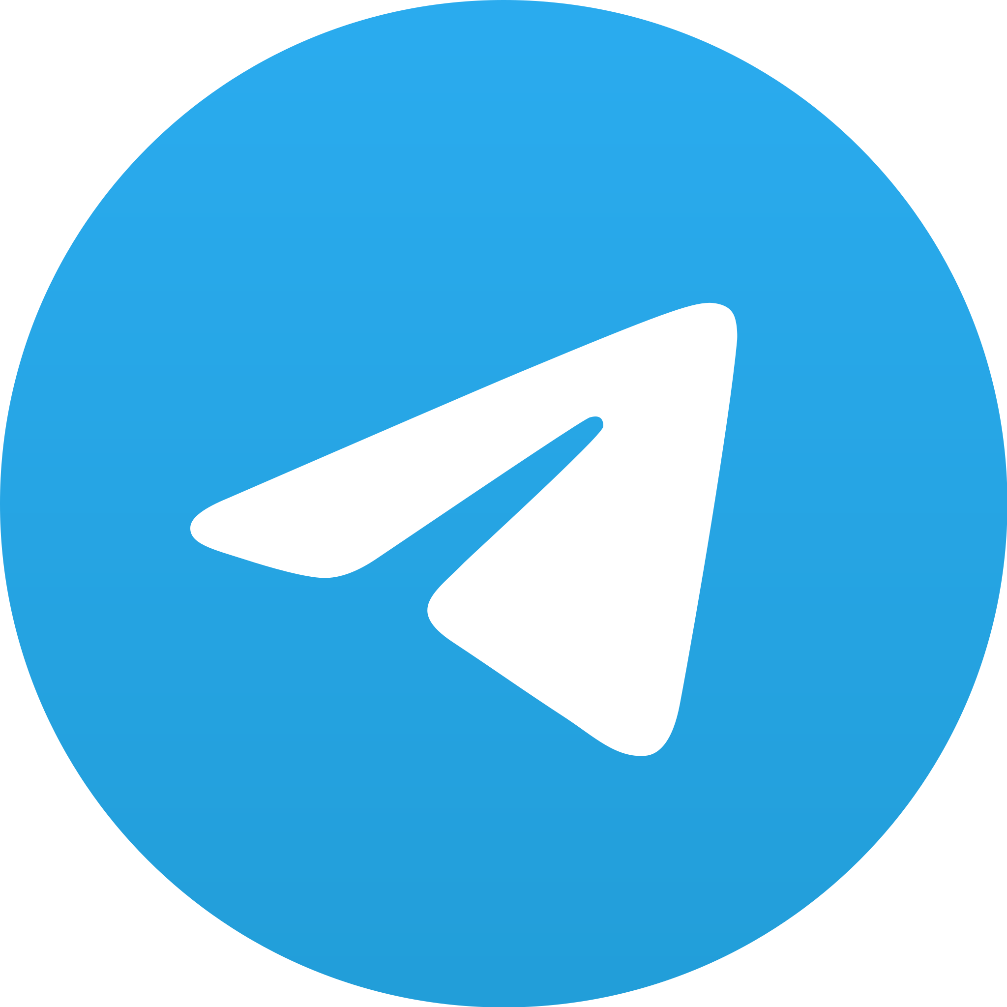 Telegram Icon